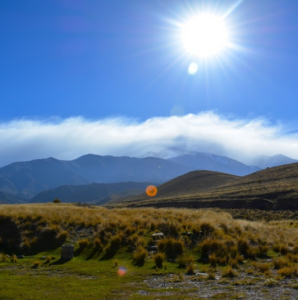 Top Ten Malbecs from Argentina to Celebrate this World Malbec Day