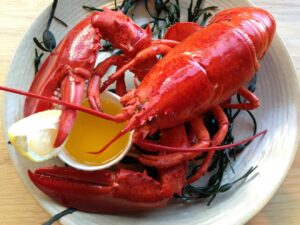Lobsterfest Returns to Hamptons Bar & Grill with the Freshest Irish Lobster this Summer 2