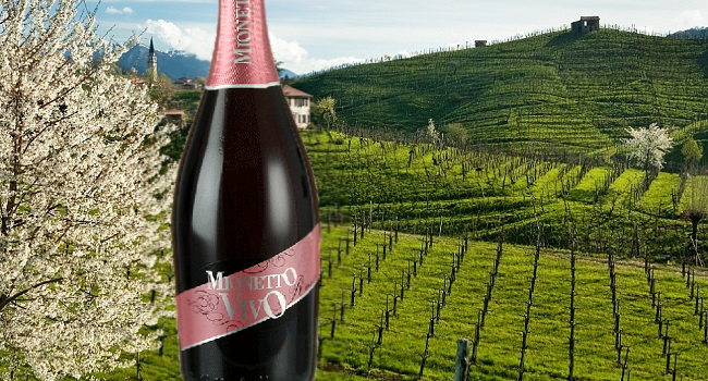 Mionetto Vivo Rose Prosecco – Wine of the Week from O’Briens