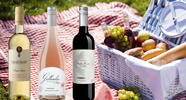 Three Wines to Discover this Season from the Febvre Wines Summer Selection