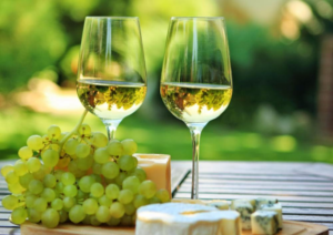 Pinots Everywhere From Pinot Noir to Pinot Gris, Meet this Unique Family 1