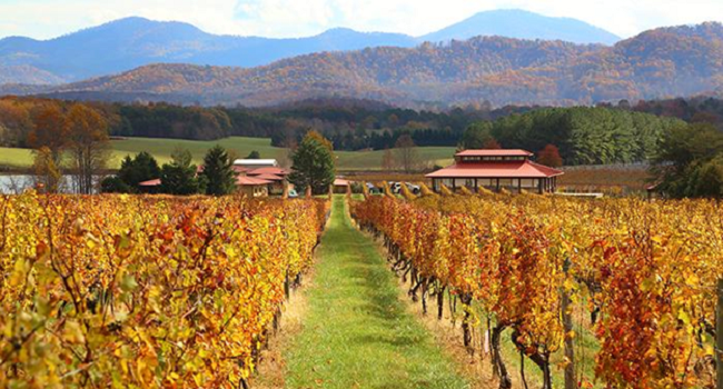 Virginia is for Wine Lovers: A Road Trip Across Virginia Wine Country