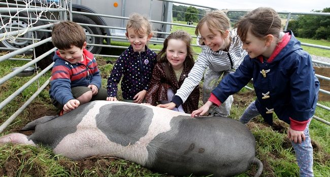 Boyne Valley Food Series