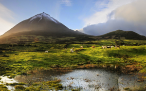 Azores Pico Portuguese Island