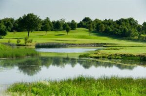 Woodstock