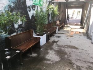 New Pub Jimmy Rabbitte's Just Opened on Camden Street 6