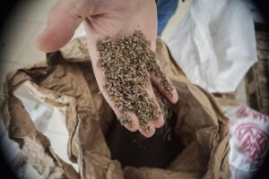 The Sligo Brewery Heading the Irish Craft Beer Revolution – The White Hag Brewery Story