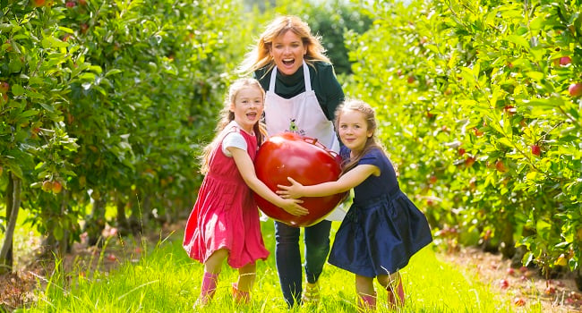 Waterford Harvest Festival Returns this September with Wholesome and Delicious Family Fun
