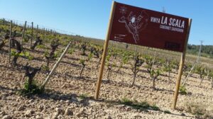 Jean León: A Man, A Time, A Wine