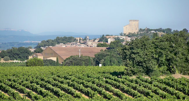 Châteauneuf-du-Nope: Scandal Over Rhone Valley Fraud Sparks International Outrage
