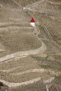 Game of Rhones - Brace Yourselves, Great Wines are Coming