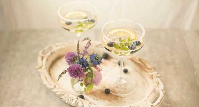 Siúcra & Catherine Fulvio Gin Fizz Cocktail Recipe