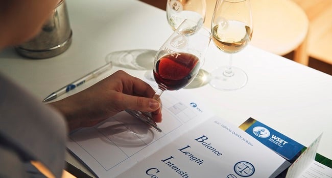 Starting My WSET Level 4 Diploma - A Life-Changing Course for Serious Wine Lover (Part I) (1)