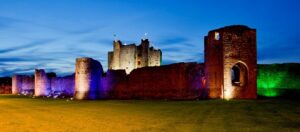 TrimCastle