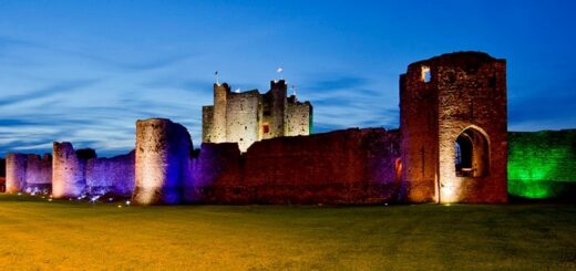 TrimCastle