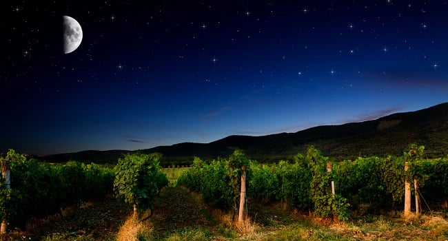 Biodynamics Wizardry in the Languedoc