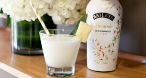 Vegan Baileyss