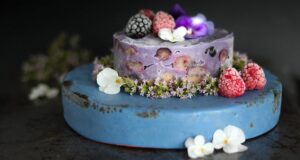 Frozen Blueberry Cheesecake Recipe 1