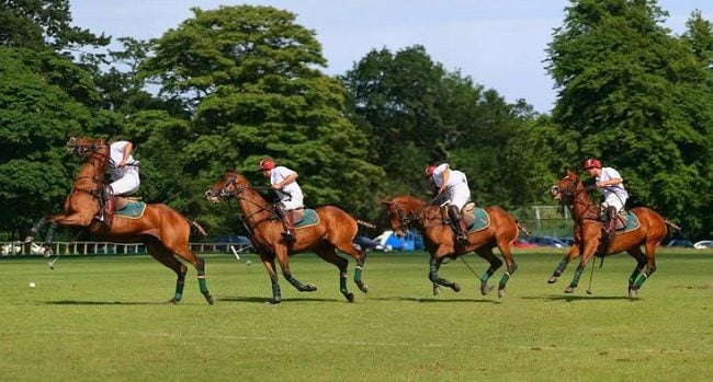 Polo in the park