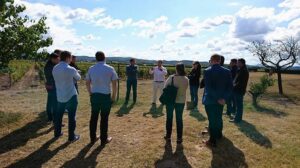 ield of Dreams - Gerard Bertrand's Spiritual Quest to Reimagine the Languedoc