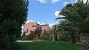 ield of Dreams - Gerard Bertrand's Spiritual Quest to Reimagine the Languedoc