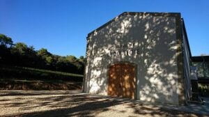 Field of Dreams A Spiritual Quest to Reimagine the Languedoc 10