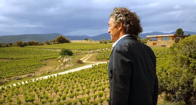 Field of Dreams - A Spiritual Quest to Reimagine the Languedoc