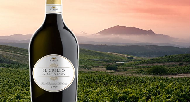 Il Grillo di Santa Tresa Spumante - Wine of the Week from O'Briens Wine