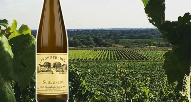 Discover Scheurebe, Riesling's Lovable Cousin Shines in this Elegant German Wine