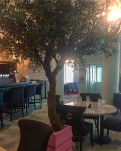 A restaurant with a real sense of place – Salt Restaurant & Bar Review