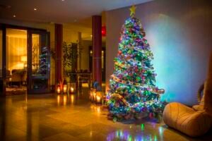 Create Wonderful Memories at the Dylan Hotel's New Twelve Treats of Christmas Afternoon Tea