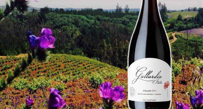gallardia di martino wines itata