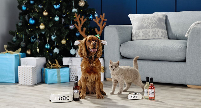 Pawesome News! You Can Now Get Dog Friendly Beer and Pawsecco in Ireland