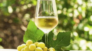 Refreshing Summer Wines