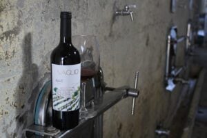 "​In Mendoza, I Learned the Value of Working Hard" - José Lovaglio Balbo from Vaglio Wines