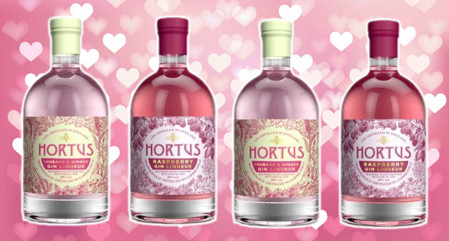Lidl Launched Two Pink Gins in Time for Valentine's Day and They're Great Great Value | Pink Gin