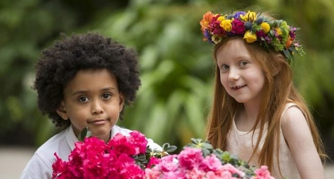 BloombyBordBia