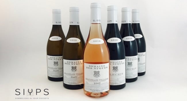 TheTaste Rose beaujolais week