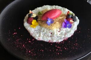Vegan Culinary Event Series