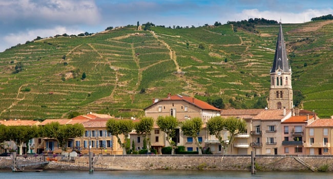 Rhone Wines you Need to Try