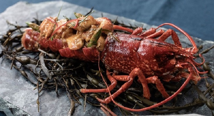 Saba lobster 2