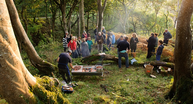 Connemara Green Festival