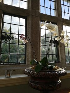 Waterford Castle Afternoon Tea 37