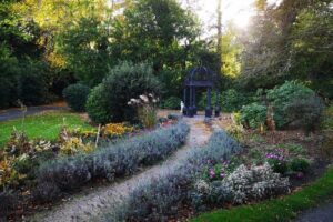 Waterford Castle Afternoon Tea Gardens