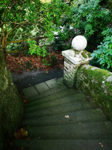 Waterford Castle Afternoon Tea 44