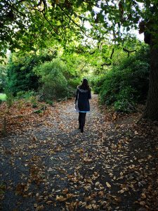Waterford Castle Afternoon Tea Walk