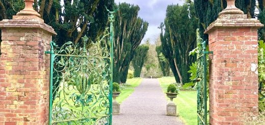 Tankardstown House Hotel in Meath - TheTaste Review