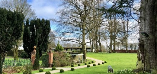 Tankardstown House Hotel in Meath - TheTaste Review