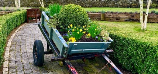 Tankardstown House Hotel in Meath - TheTaste Review