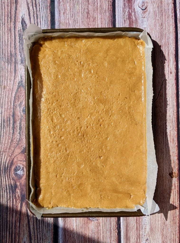 No Bake Peanut Butter Squares Recipe By Green Earth Organics 4